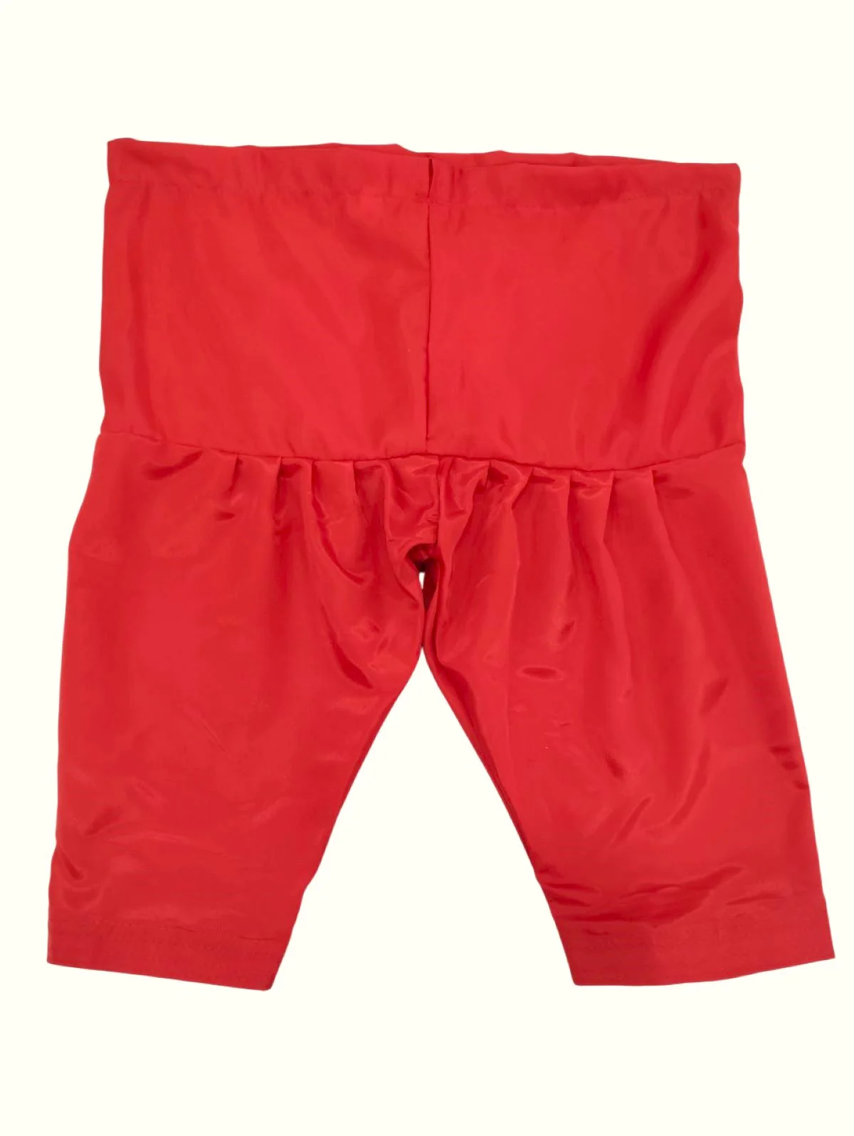 Kashmiri Indian State Fancy Dress Costume for Girls and Females - Image 9