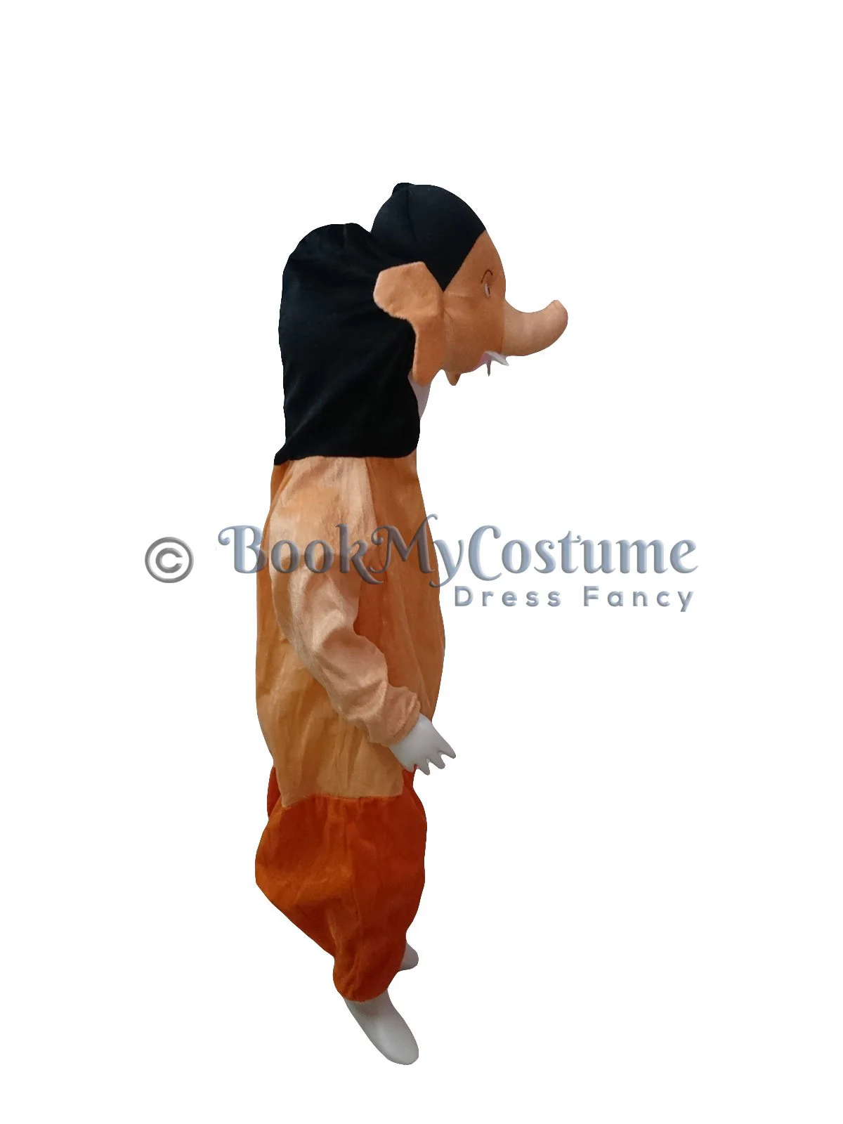 My Friend Ganesha Cartoon Character Kids & Adults Fancy Dress Costume - Image 5
