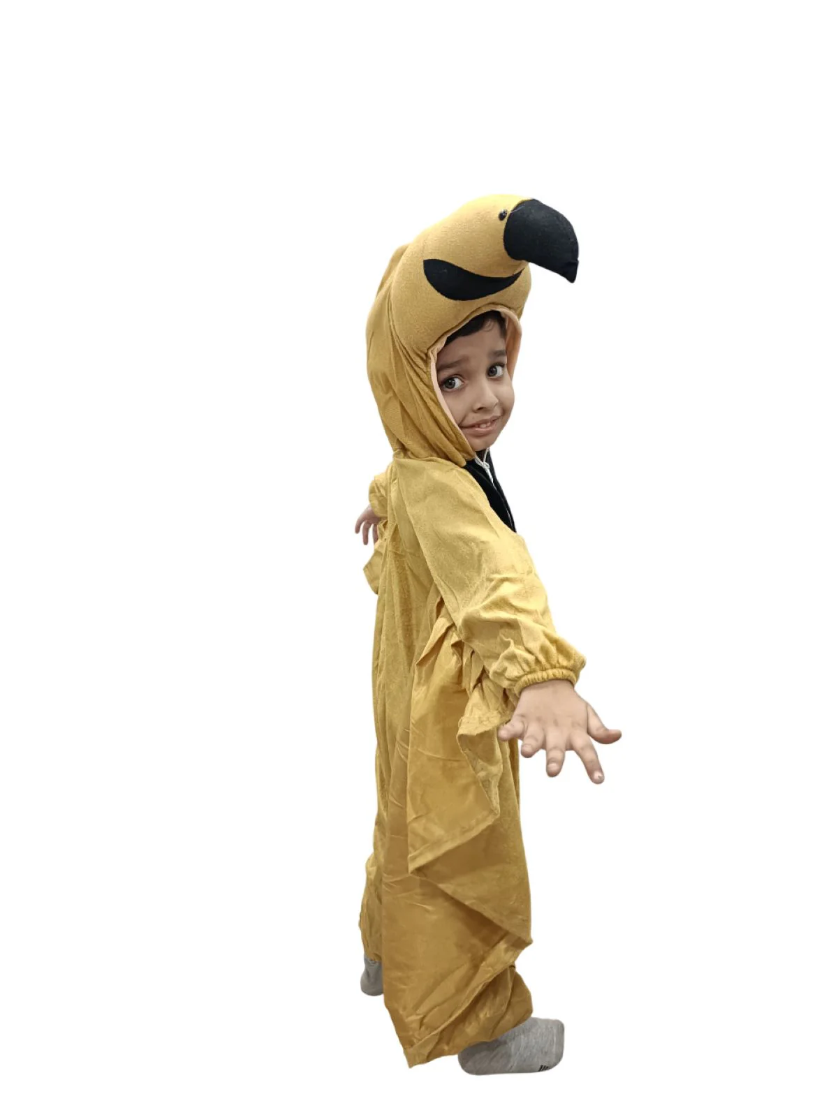 Brown Sparrow Chidiya Bird Kids Fancy Dress Costume For Kids - Image 6